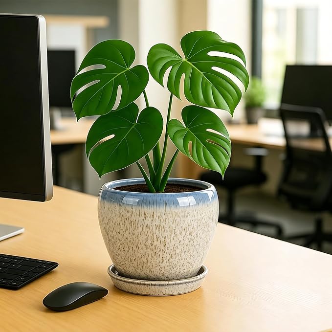 Deep Dream 8 Inch Plant Pots- Ceramic Pots for Plants with Drainage Hole and Saucer, Large Planter Pot for Indoor Plants Outdoor Decor, Beige&Blue