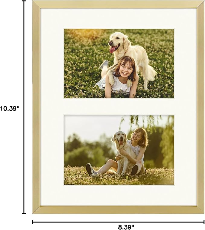 Golden State Art 8x10 Collage Frame w/Mat for 2 4x6 Photos Gold 1 Pack