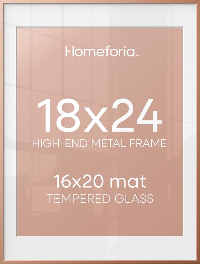 Homeforia 18x24 Rose Poster Frame, High-End Metal, 16x20 Mat, Glass