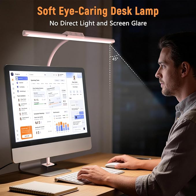 LED Desk Lamp for Home Office, Flexible Gooseneck Desk Lamp with Clamp