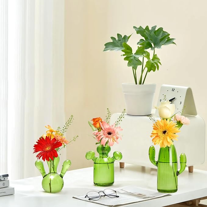 XXXFLOWER Cactus Plant Propagation Station 3 Cactus Vase Terrarium Jars | Desk Plant Cuttings Plant Holders Unique Glass Flower Vase for Hydroponics Plants for Plant Lovers Home Garden Decor