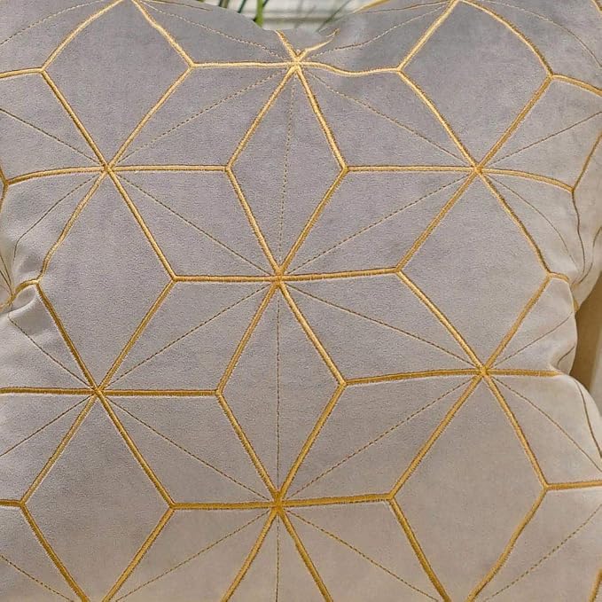 Avigers Throw Pillow Cover 18 x 18 Inch, Grey Gold, Velvet, Hidden Zipper