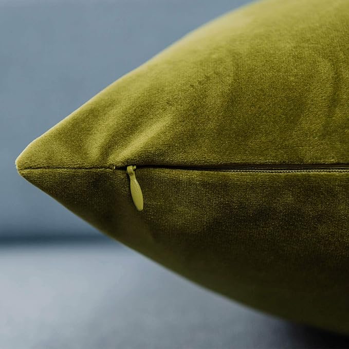 JUSPURBET 24x24 Euro Velvet Throw Pillow Covers Set of 2,Olive Green