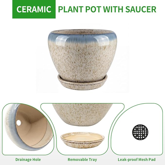 Deep Dream 8 Inch Plant Pots- Ceramic Pots for Plants with Drainage Hole and Saucer, Large Planter Pot for Indoor Plants Outdoor Decor, Beige&Blue
