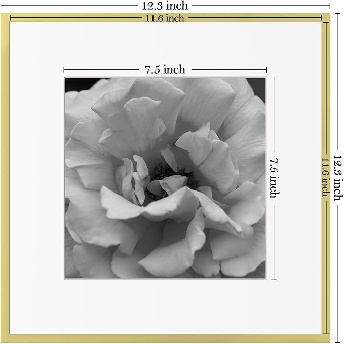 eletecpro Aluminum Gallery Wall Frame Set of 6 with Glass Cover, Gold | 12 x 12 Metal Photo Frames Display 8x8 Photo with Mat or 12x12 without Mat, Picture Frame Collage Wall Decor