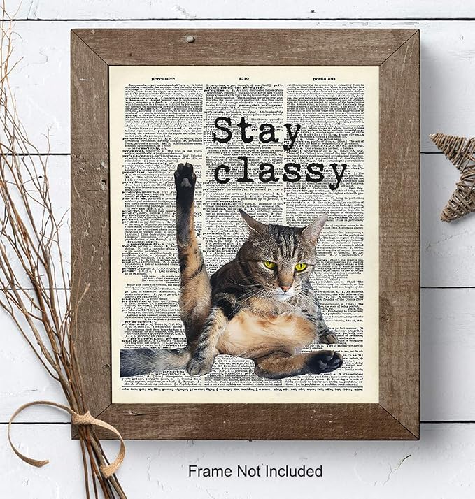 Cat Wall Decor - Cat Wall Art Print - 8x10 Poster Picture, Home or Apartment Photo Decoration - Funny Gift for Kitty Lovers, Animal Lovers, Pet Owners, Kitty or Kitten Fans - Unframed