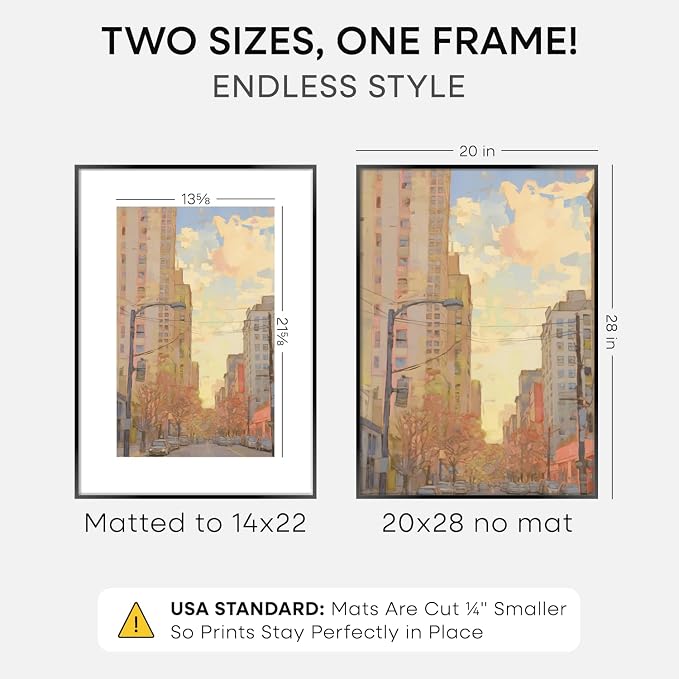 Homeforia 20x28 Black Picture Frame, High-End Metal, 14x22 Mat, Glass