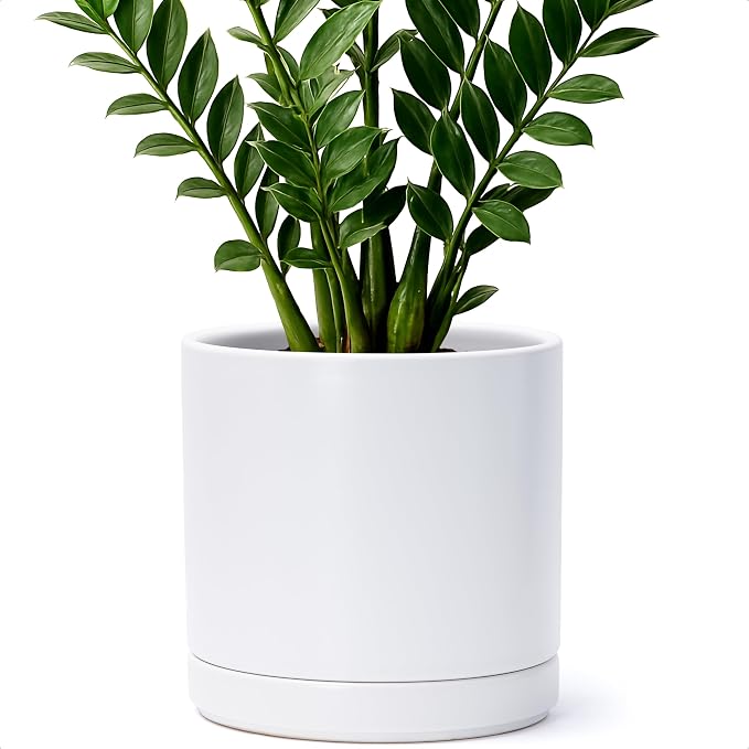 D'vine Dev 8.2 Inch Ceramic Planter Pot, White, 94-O-D-1 | Modern Cylinder Design, Drainage Hole & Saucer Included, Stable Structure, Elegant Home Accent