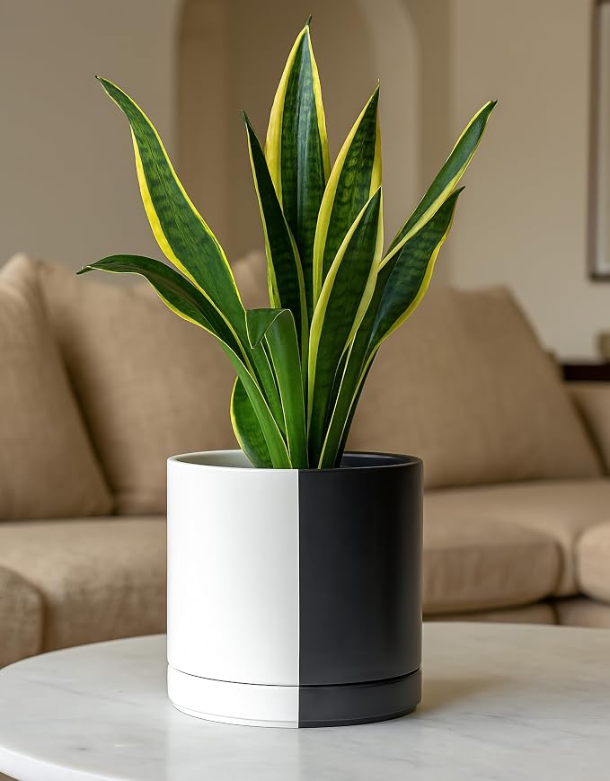 D'vine Dev 8.2 Inch Ceramic Planter Pot, Black White Split, 94-O-D-0 | Modern Cylinder Design, Drainage Hole & Saucer Included, Stable Structure, Elegant Home Accent