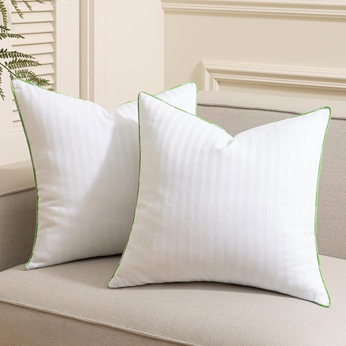 Ashler Synthetic Down Pillow Inserts, 20x20, Set of 2 | Down Alternative, 100% Cotton Cover, Decorative Pillow for Couch, Fluffy Cushion Sham Stuffer, Hypoallergenic