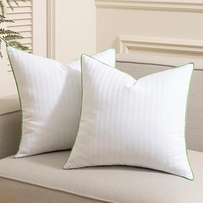 Ashler Synthetic Down 18x18 Pillow Inserts, Set of 4 | Down Alternative, Couch Pillows, Decorative Throw Pillows, Square Cushion Sham Stuffer, Hypoallergenic