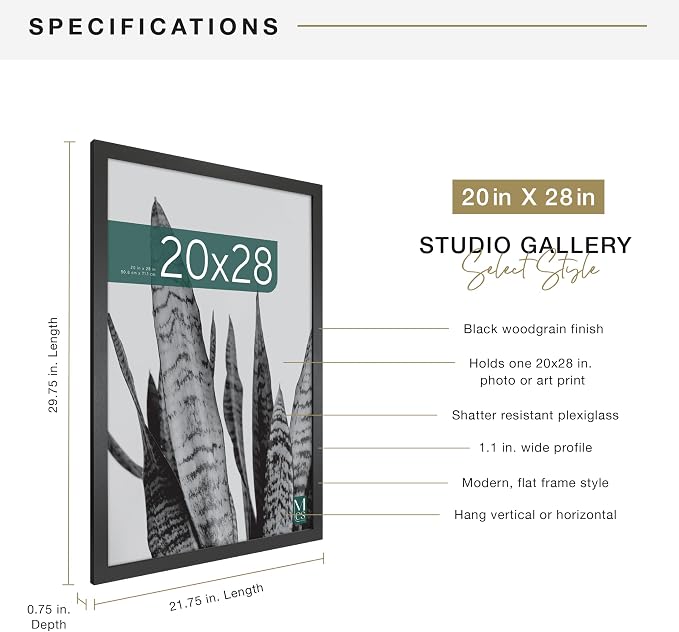 MCS Studio Gallery Poster Frame, 20x28, Black Woodgrain, 1-Pack