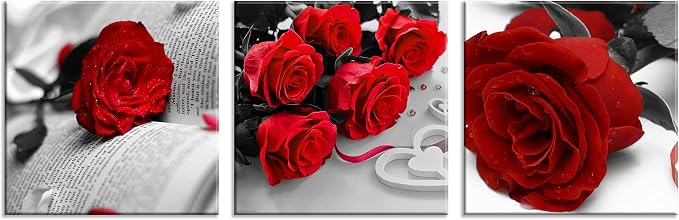 NAN Wind 3 Pcs Black White with Red Wall Art Red Rose Wall Decor Abstract Decorations Flower Picture on Canvas for Home Decor Stretched and Framed 12X12inches