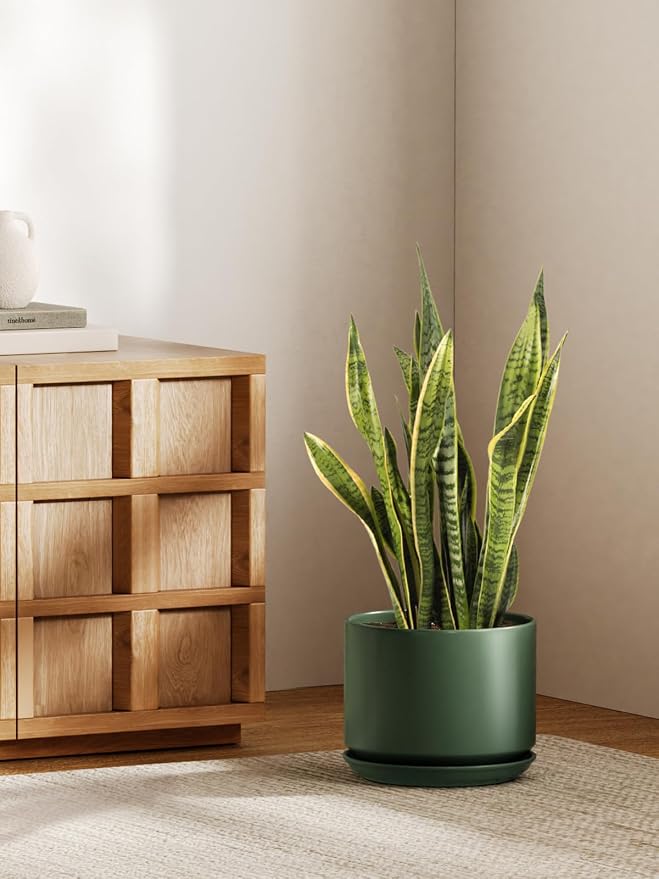 LE TAUCI Ceramic Pots for Plants, 10 Inch Plant Pot with Drainage Hole & Saucer, Sturdy & Modern Planters for Indoor Plants, Includes Mesh Screen, Fits Snake Plant & Monstera, Forest Green