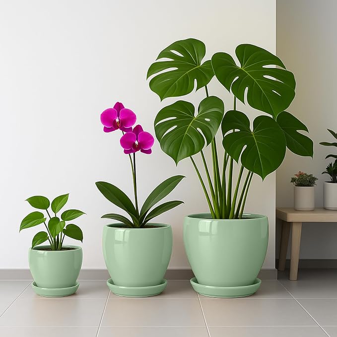 Deep Dream 6 Inch Plant Pots- Ceramic Planter Pot with Drainage Hole and Saucer, Round Flower Pot for Indoor Outdoor Succulent, Snake Plants and Cactus, Mint Green
