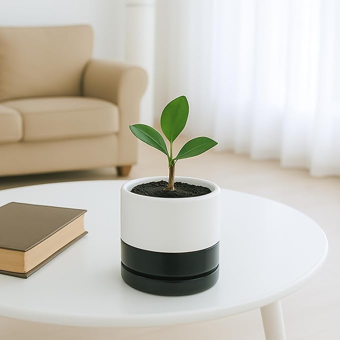 D'vine Dev 4.7 Inch Ceramic Planter Pot, Black White Two Tone, 94-O-B-L | Modern Cylinder Design, Drainage Hole & Saucer Included, Stable Structure, Elegant Home Accent