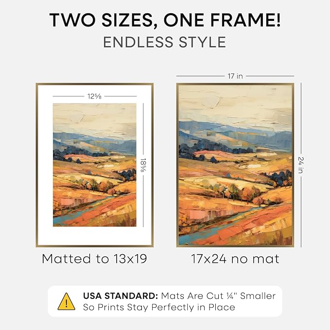 Homeforia 17x24 Bronze Picture Frame, High-End Metal, 13x19 Mat, Glass