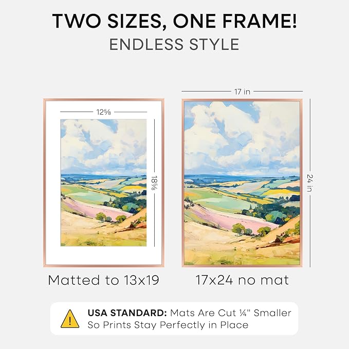 Homeforia 17x24 Rose Picture Frame, High-End Metal, 13x19 Mat, Glass