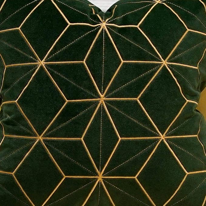 Avigers Throw Pillow Cover 20 x 20 Inch, Green Gold, Velvet, Hidden Zipper