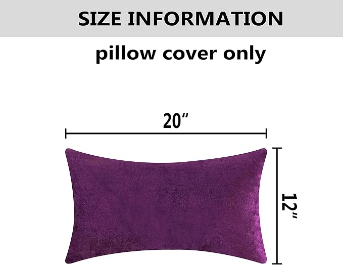 Home Brilliant Velvet Lumbar Solid Pillowcases Decorative Purple Pillow Covers for Couch Sofa, Set of 2, 12x20 Inch(30x50cm), Eggplant