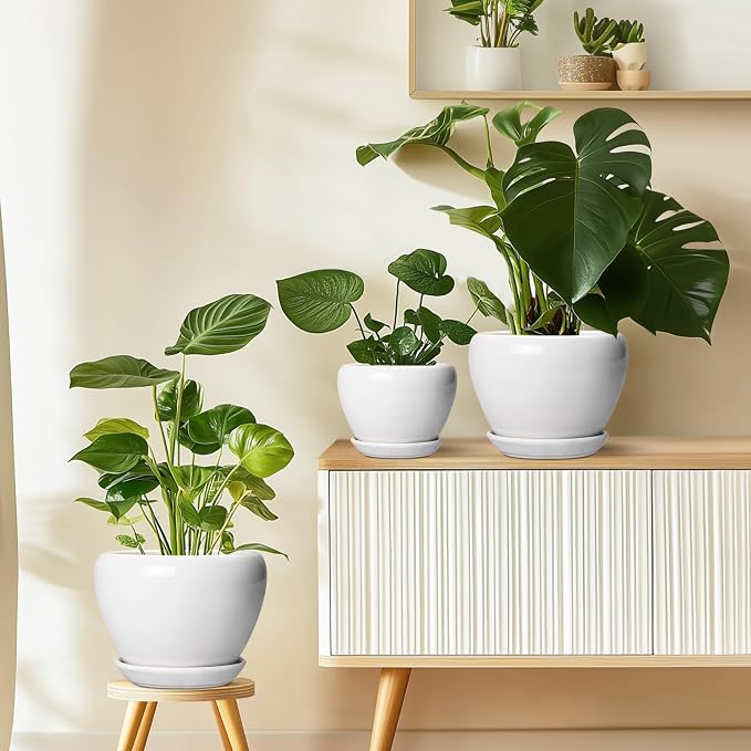 Ceramicfor Ceramic Pot for Plants - 10 Inch Planter with Drainage Hole and Saucer, Glaze Modern Round Flower Pot for Indoor Plants, Housewarming Gift, Home Decor, White