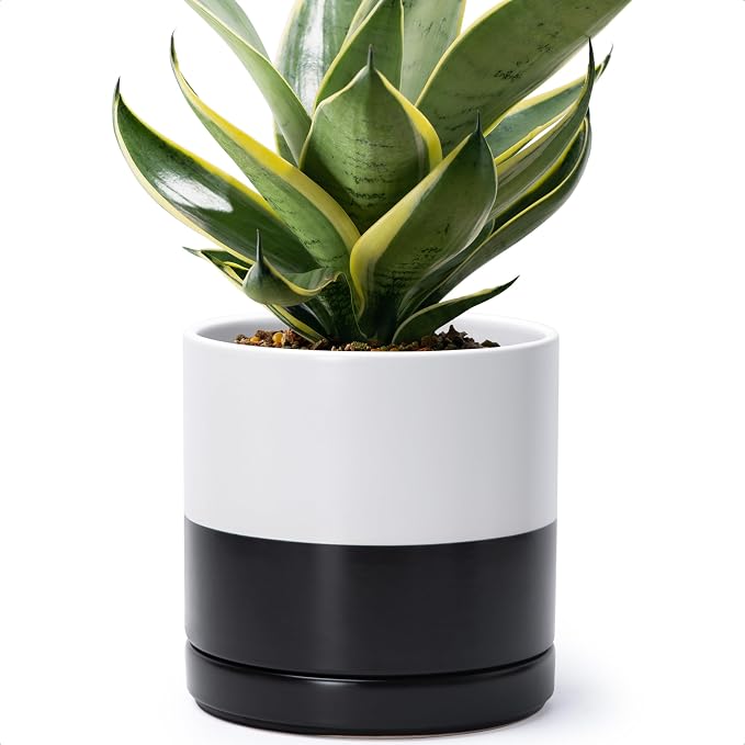 D'vine Dev 8.2 Inch Ceramic Planter Pot, Black White Two Tone, 94-O-D-L | Modern Cylinder Design, Drainage Hole & Saucer Included, Stable Structure, Elegant Home Accent
