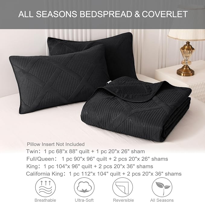 Exclusivo Mezcla Quilts Queen Size, Black | Soft Bedspreads with 2 Pillow Shams, Modern Striped Pattern, Lightweight Bedding Set Coverlets for All Seasons, 90x96 Inch