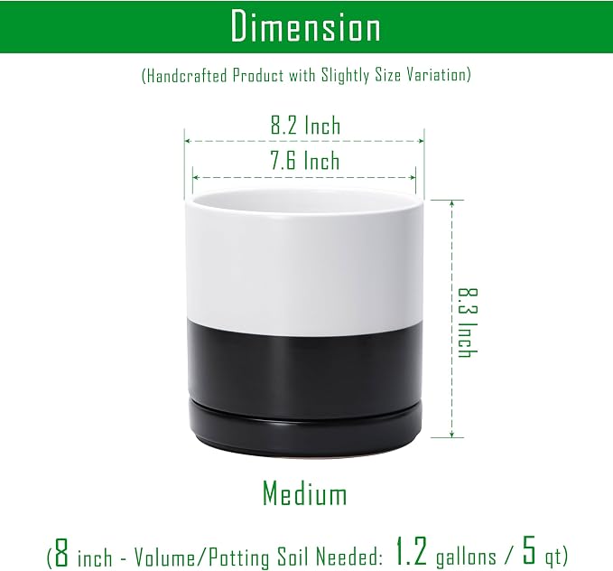 D'vine Dev 8.2 Inch Ceramic Planter Pot, Black White Two Tone, 94-O-D-L | Modern Cylinder Design, Drainage Hole & Saucer Included, Stable Structure, Elegant Home Accent