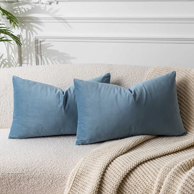 JUSPURBET 16x24 Lumbar Velvet Throw Pillow Covers Set of 2,Light Blue