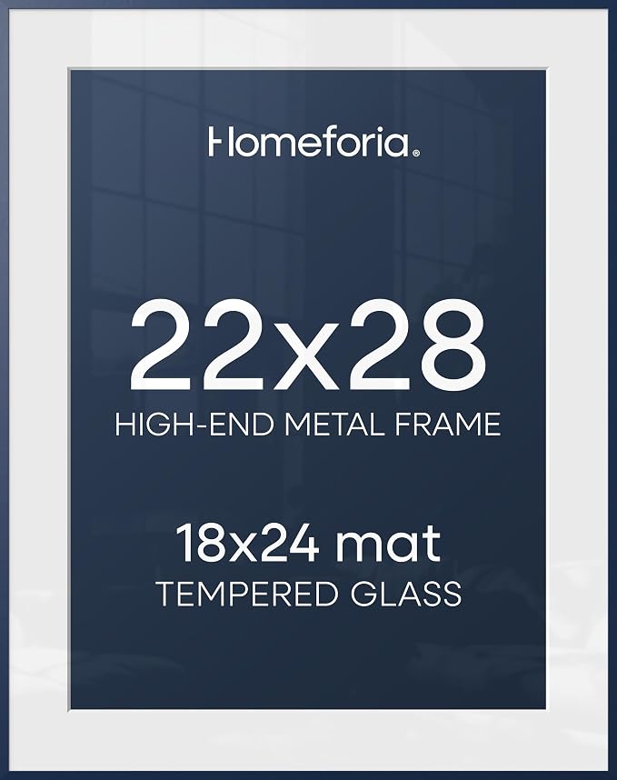 Homeforia 22x28 Blue Poster Frame, High-End Metal, 18x24 Mat, Glass