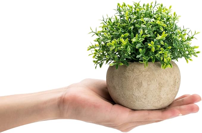 Velener 2Pcs Mini Artificial Boxwood Topiary Faux Plants Indoor- Small Fake Plants Decor Magnolia Home Office Desk Cubicle Farmhouse Kitchen Bookshelf Bedroom Bathroom Decor, Aloe Vera Zen Garden