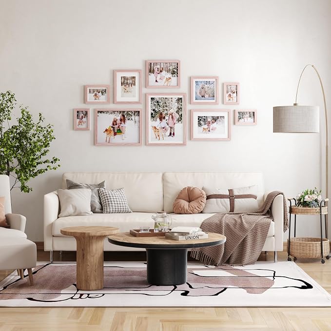 Egofine 4x6 Picture Frames Set of 4, Made of Solid Wood Covered by Plexiglass 3x4.5 and 3.5x5 with Mat or 4x6 without Mat, for Table Top Display and Wall Mounting Photo Frame, Peach Pink