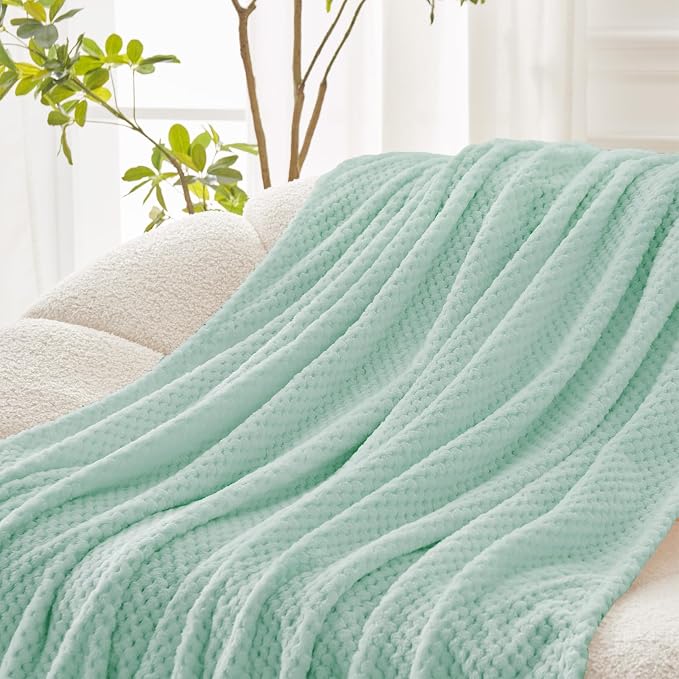 Exclusivo Mezcla Fleece Throw Blanket Extra Large, Super Soft and Warm Blankets for Couch, Sofa and Bed Waffle Textured, Cozy, Fuzzy and Lightweight (Mint Green, 50x70 Inches) | Lightweight Soft Blanket for Sofa, Bed, Living Room, Plush Fluffy Throw fo...