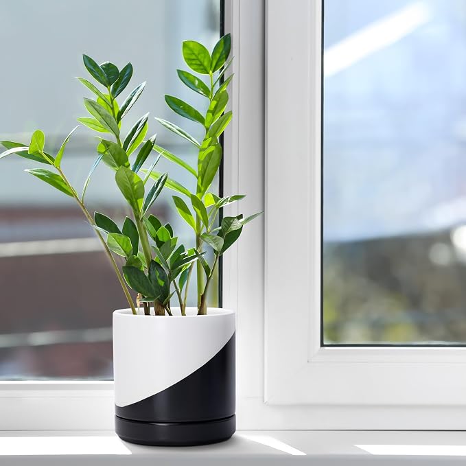 D'vine Dev 6.5 Inch Ceramic Planter Pot, Black White Diagonal, 94-O-C-K | Modern Cylinder Design, Drainage Hole & Saucer Included, Stable Structure, Elegant Home Accent