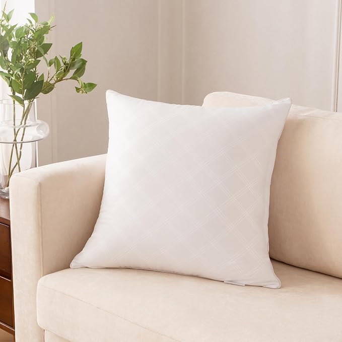 Oubonun 18 x 18 Inches Pack of 4 Throw Pillows Inserts, White Square Cushion Inner Soft Fluffy Plump Stuffer Pillows Inserts for Sofa Bed Couch