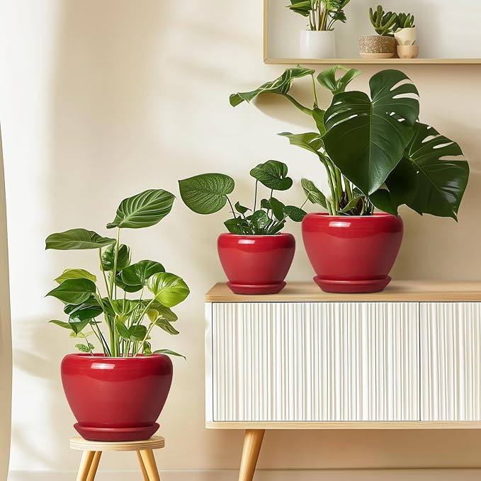 Ceramicfor 10 Inch Plant Pot, Ceramic Planter for Indoor Plants, Glossy Red | Round Planter with Drainage Hole and Saucer, Glaze, Modern, Home Room Garden Decor, Gifts for Plant Lovers