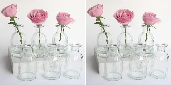 Bud Vases Set of 6 Small Glass Vase for Flowers, Clear Vase Set (Pack of 2)