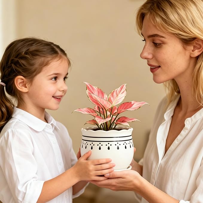 Vintage Flower Pots for Indoor Plant, Round Ceramic Plant Pots with Drainage Holes and Saucers, 6.7/5.2/3.9 Inches Retro Flower Planters Set of 3