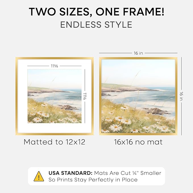 Homeforia 16x16 Gold Picture Frame, High-End Metal, 12x12 Mat, Glass
