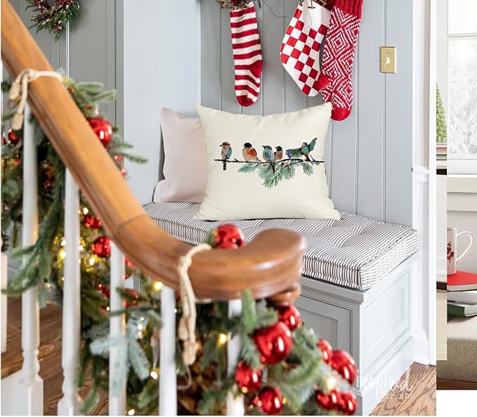RABUSOFA Christmas Outdoor Pillow Covers Waterproof 18x18 Inch Birds Christmas Decorations Winter Throw Pillow Cases Xmas Birds Decor Decorative Pillows for Couch Holiday Teal