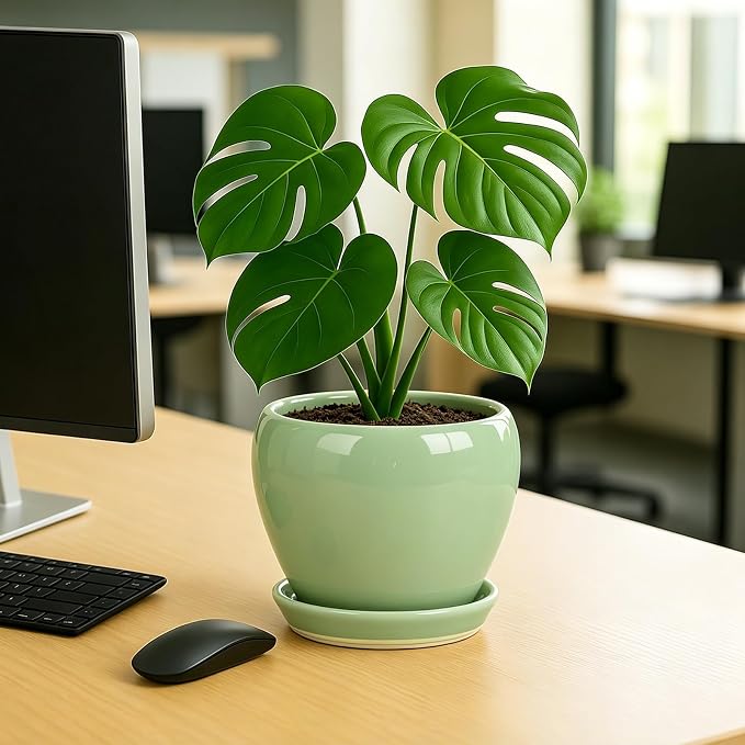 Deep Dream 8 Inch Plant Pots- Ceramic Pots for Plants with Drainage Hole and Saucer, Large Planter Pot for Indoor Plants Outdoor Decor, Mint Green
