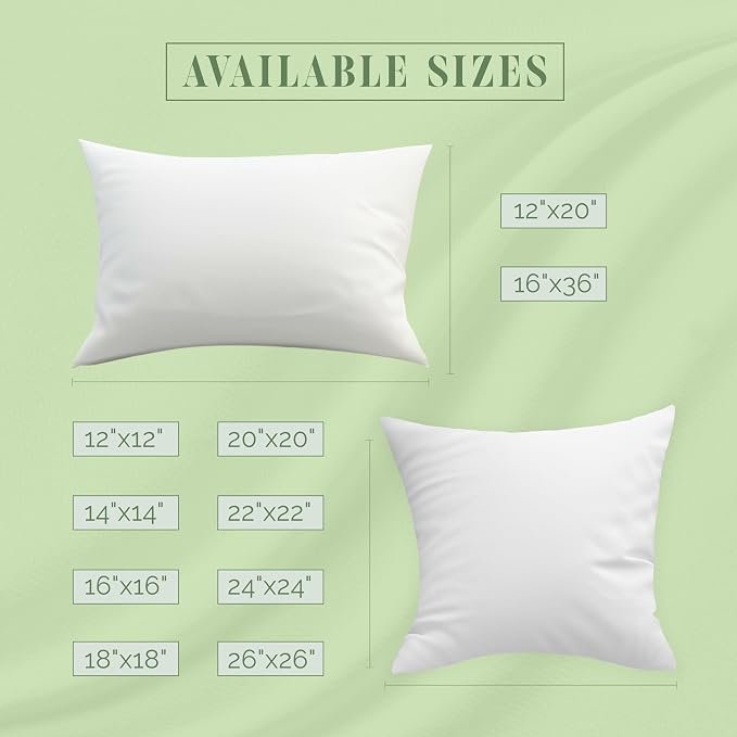 Elegant Comfort Set of 2 Poly-Cotton Shell Siliconized Fiber Filling 4 Pack Throw Inserts Sofa Bed and Couch Indoor Decorative Pillows, 16x16 Inch - Pack of 2, White 2 Count