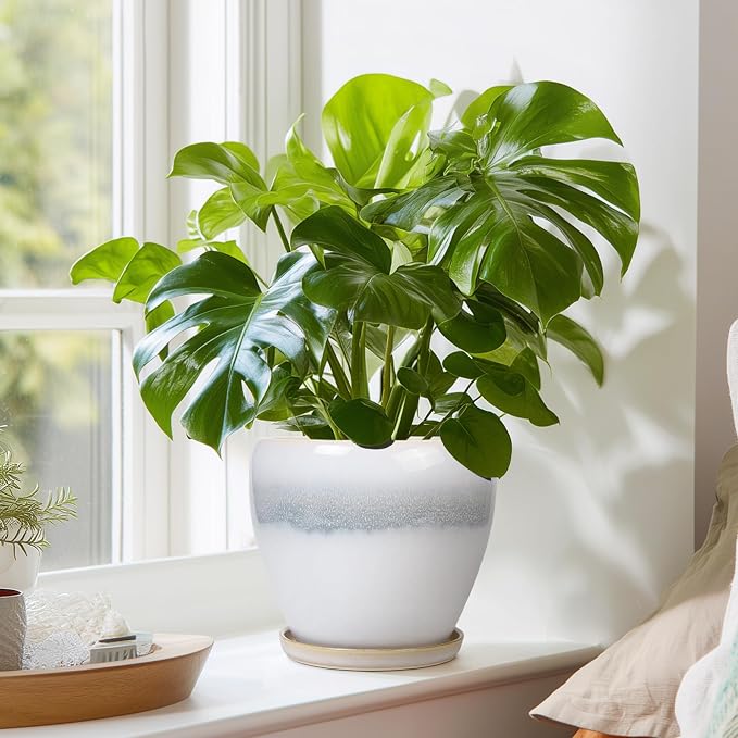 Ceramic Plant Pot - 6 Inch Ceramic Pots Indoor, White-Grey | Decorative Planter with Drainage Hole and Saucer, Modern Plant Pots for Plants, Bedroom Room Decor, Plant Lover Gifts
