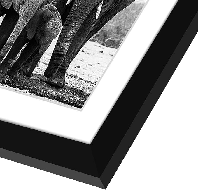 Americanflat 11x11 Picture Frame with Shatter-Resistant Glass - Use as 8x8 Frame with Mat or Display 11x11 Photo Without Mat - Signature Collection - Square Frames for Wall Display - Black