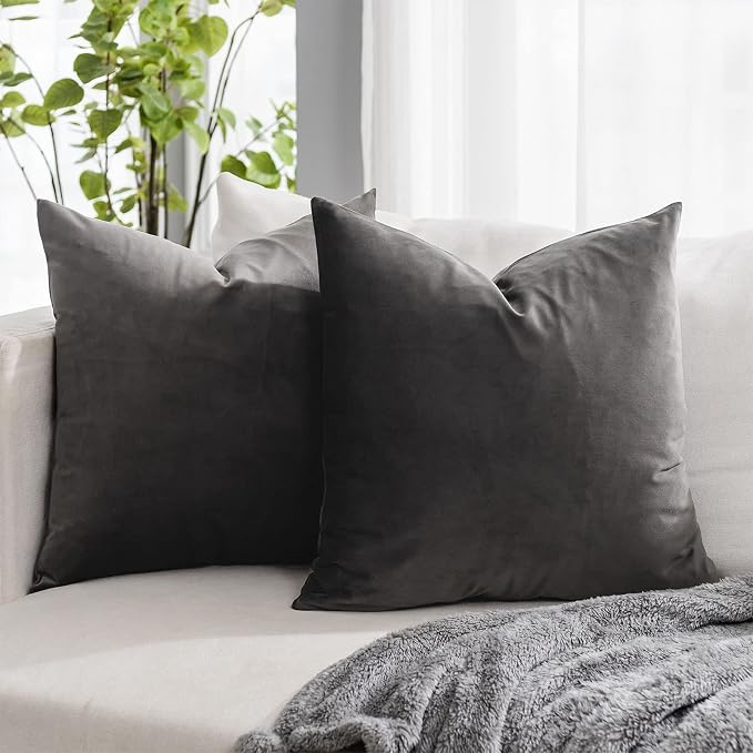 Ash Decorative Lumbar Velvet Throw Pillow Covers 24x24 inch Set of 2 with Zipper Luxury Soft Solid Square Cushion Covers Case for Sofa Couch Bed Living Room