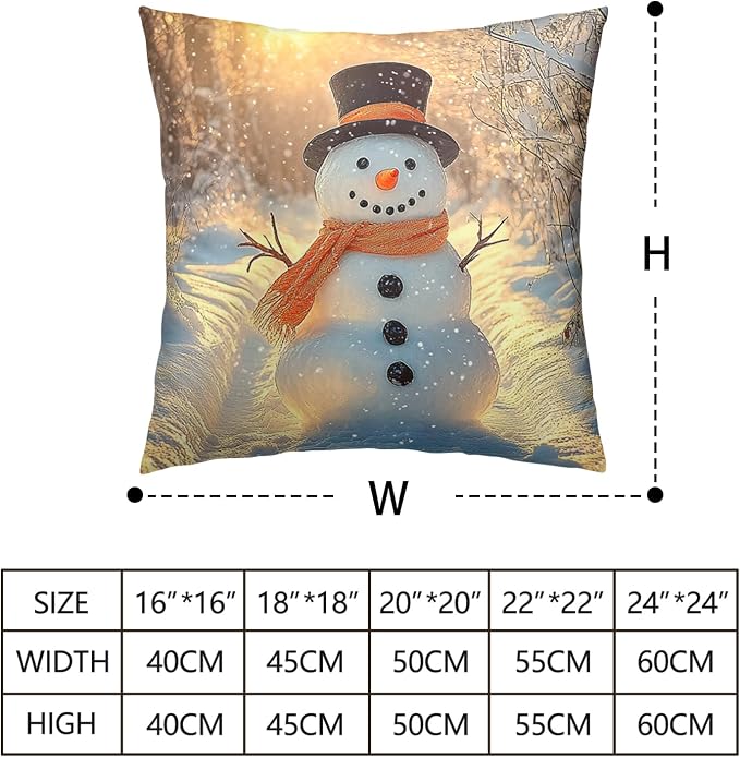 Winter Pillow Covers Snowman in The Sunshine Throw Pillow Covers 22x22 Snowflakes Pillow Case Double Sided Printing Cushion Case for Home Decor Couch Sofa Set of 2