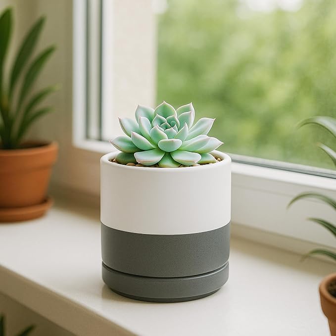 D'vine Dev 3.5 Inch Ceramic Planter Pot, White/Grey, 94-O-A-6 | Modern Cylinder Design, Drainage Hole & Saucer Included, Stable Structure, Elegant Home Accent