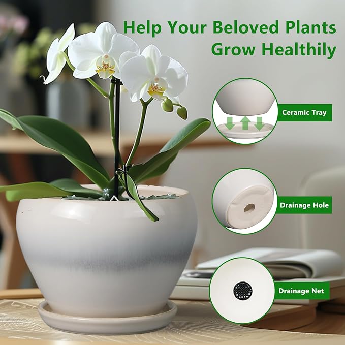 Ceramicfor Ceramic Planter - 8 Inch Plant Pot with Drainage Hole and Saucer, Glaze Round Flower Pot for Home Garden Patio Office, White