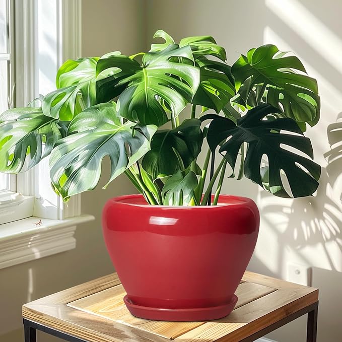Ceramicfor 10 Inch Plant Pot, Ceramic Planter for Indoor Plants, Glossy Red | Round Planter with Drainage Hole and Saucer, Glaze, Modern, Home Room Garden Decor, Gifts for Plant Lovers