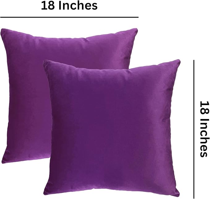 RELY+ Pack of 2 Throw Pillow Covers 18x18 Inch Velvet Soft Cozy Solid Decoration Gifts Pillow Covers Luxury Cushion Case for Sofa Couch Bedroom Living Room (Purple, 18 X 18)